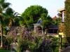 Sample image from gallery