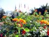 Sample image from gallery