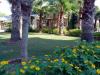 Sample image from gallery