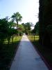 Sample image from gallery