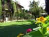 Sample image from gallery