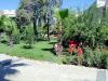 Sample image from gallery