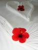 Sample image from gallery