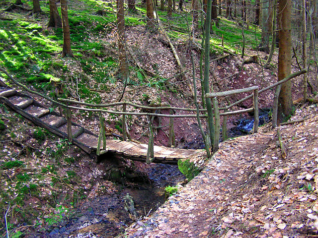 Holzbrücke