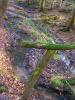 Sample image from gallery