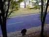 Sample image from gallery