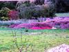 Sample image from gallery