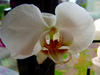 Sample image from gallery
