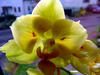 Sample image from gallery