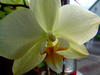 Sample image from gallery