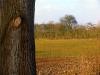 Sample image from gallery
