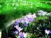 Sample image from gallery