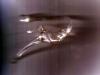Sample image from gallery