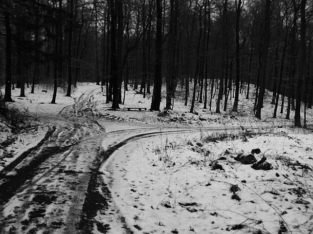 Waldwegkreuzung