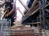 Sample image from gallery