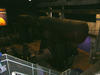 Sample image from gallery