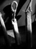 Sample image from gallery