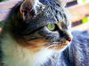 Sample image from gallery