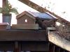Sample image from gallery
