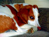 Sample image from gallery