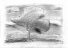 Sample image from gallery
