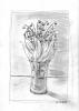 Sample image from gallery